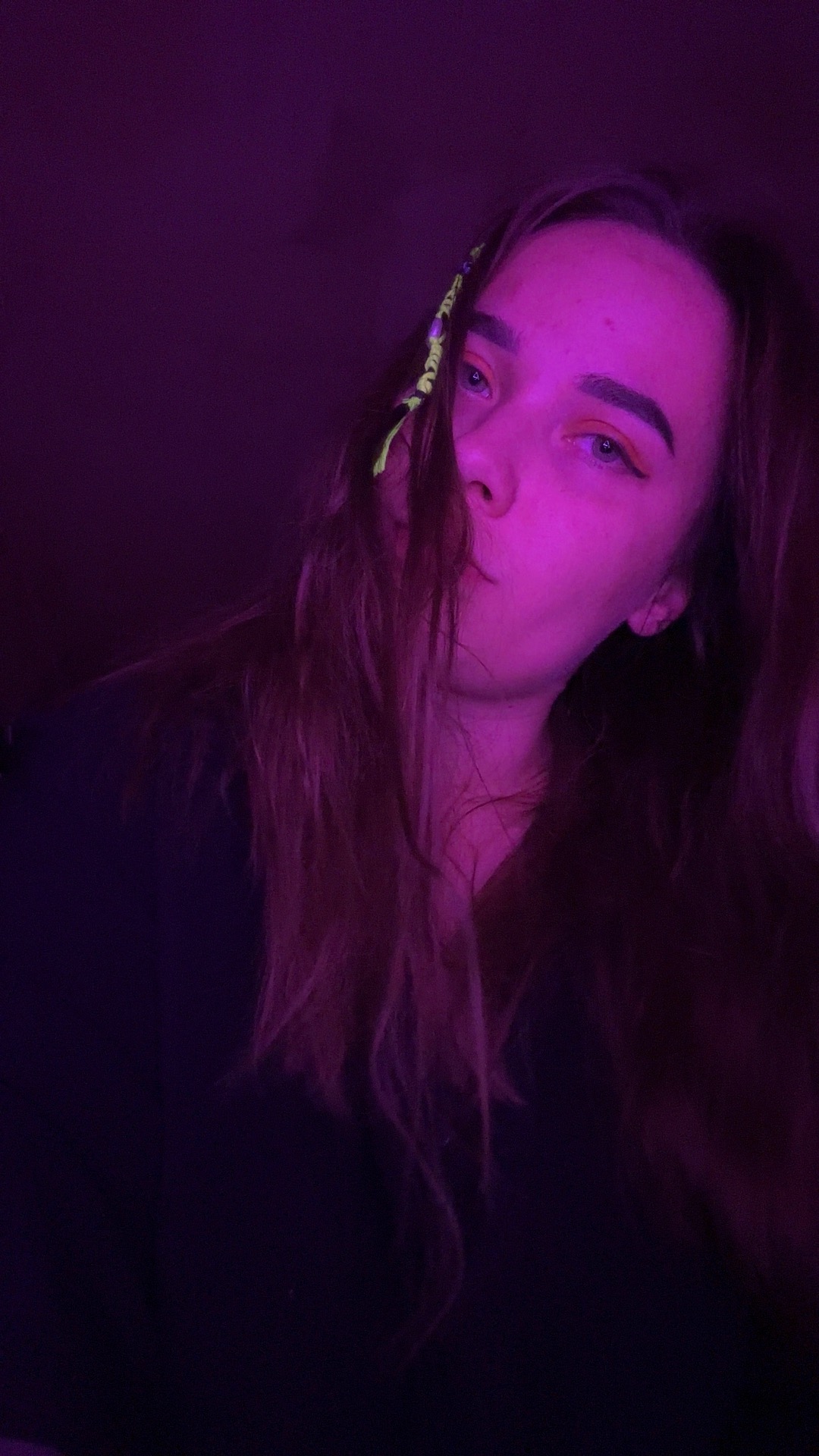 Lizarddidiidno