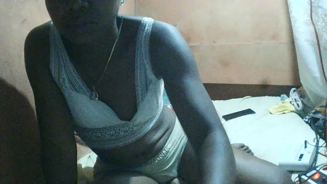 stelashow