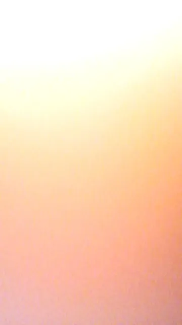 Rose777